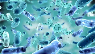 Imagen de archivo de bacterias