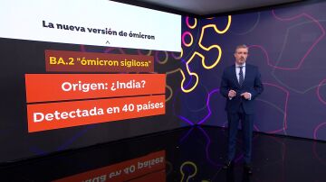 Qué se conoce sobre BA.2, la nueva versión de ómicron