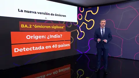 Qué se conoce sobre BA.2, la nueva versión de ómicron Qué se conoce sobre BA.2, la nueva versión de ómicron