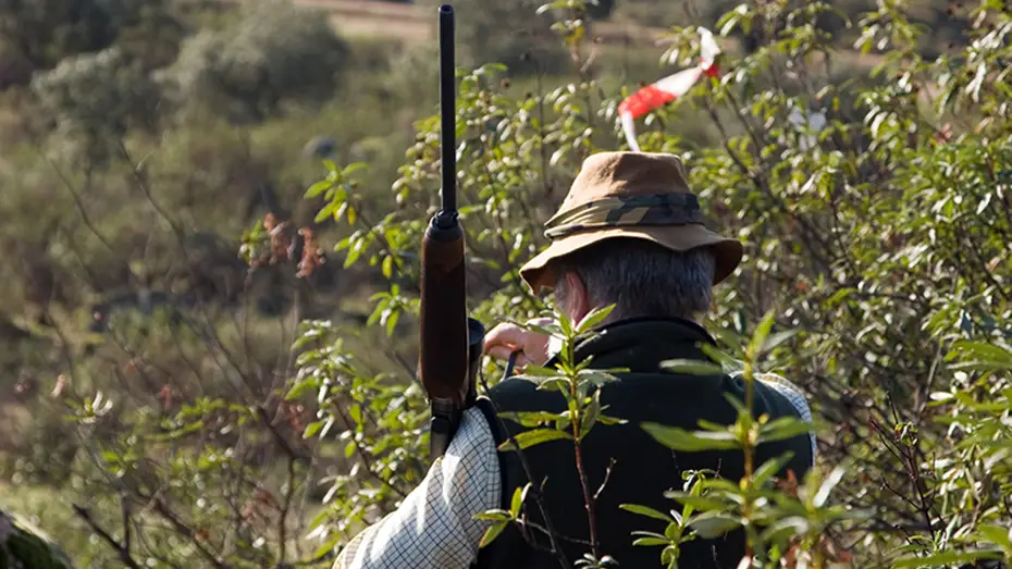 Muere un hombre tras recibir un disparo durante una cacería en Huelva Muere un hombre tras recibir un disparo durante una cacería en Huelva