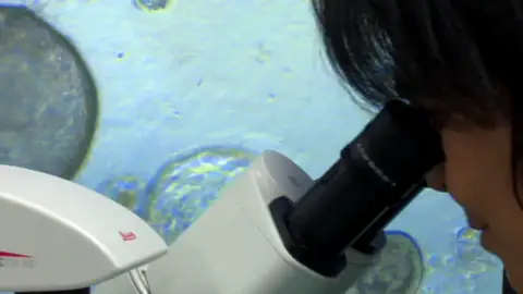 Jeff Bezos invierte en una empresa de reprogramación celular Jeff Bezos invierte en una empresa de reprogramación celular