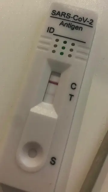 Test antígenos Test antígenos