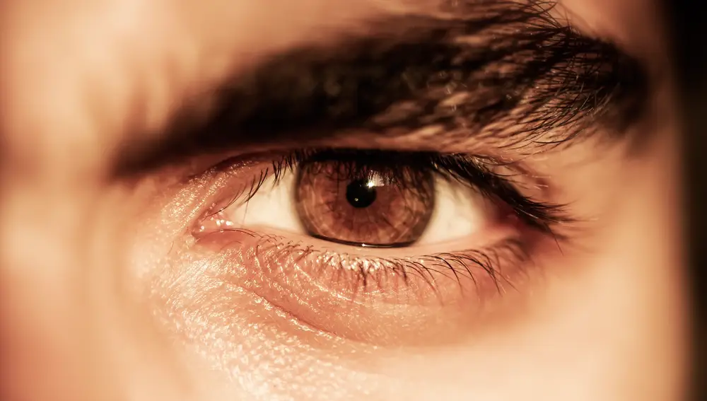 Ojo marrón