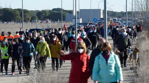 Vecinos participan este sábado la cuarta batida en busca de Esther López, desaparecida el 12 de enero Vecinos participan este sábado la cuarta batida en busca de Esther López, desaparecida el 12 de enero