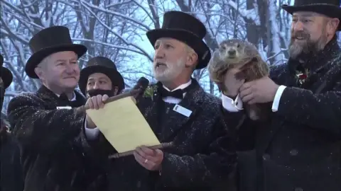 Muere la marmota de Milltown Mel horas antes del 'Día de la Marmota' Muere la marmota de Milltown Mel horas antes del 'Día de la Marmota'