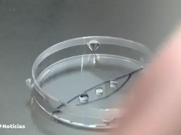 Un ginecólogo usó su propio esperma para tratamientos de fertilidad y ahora tendría al menos 21 descendientes Un ginecólogo usó su propio esperma para tratamientos de fertilidad y ahora tendría al menos 21 descendientes