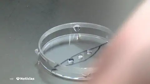 Un ginecólogo usó su propio esperma para tratamientos de fertilidad y ahora tendría al menos 21 descendientes Un ginecólogo usó su propio esperma para tratamientos de fertilidad y ahora tendría al menos 21 descendientes