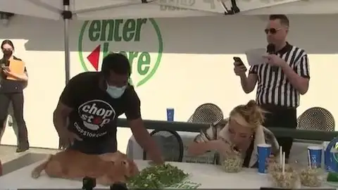 Se celebra una peculiar competición para ver quién es capaz de comer más lechuga. Se celebra una peculiar competición para ver quién es capaz de comer más lechuga.