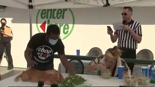 Se celebra una peculiar competición para ver quién es capaz de comer más lechuga. Se celebra una peculiar competición para ver quién es capaz de comer más lechuga.