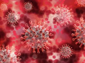 Los pacientes con VIH no tratados parecen sufrir infecciones de covid más persistentes. Los pacientes con VIH no tratados parecen sufrir infecciones de covid más persistentes.