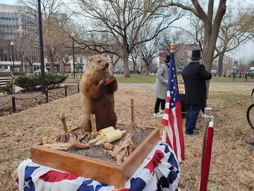 La marmota Phil sale de su madriguera en Estados Unidos y pronostica que el invierno durará seis semanas más La marmota Phil sale de su madriguera en Estados Unidos y pronostica que el invierno durará seis semanas más