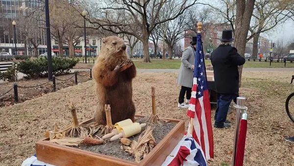 La marmota Phil sale de su madriguera en Estados Unidos y pronostica que el invierno durará seis semanas más La marmota Phil sale de su madriguera en Estados Unidos y pronostica que el invierno durará seis semanas más