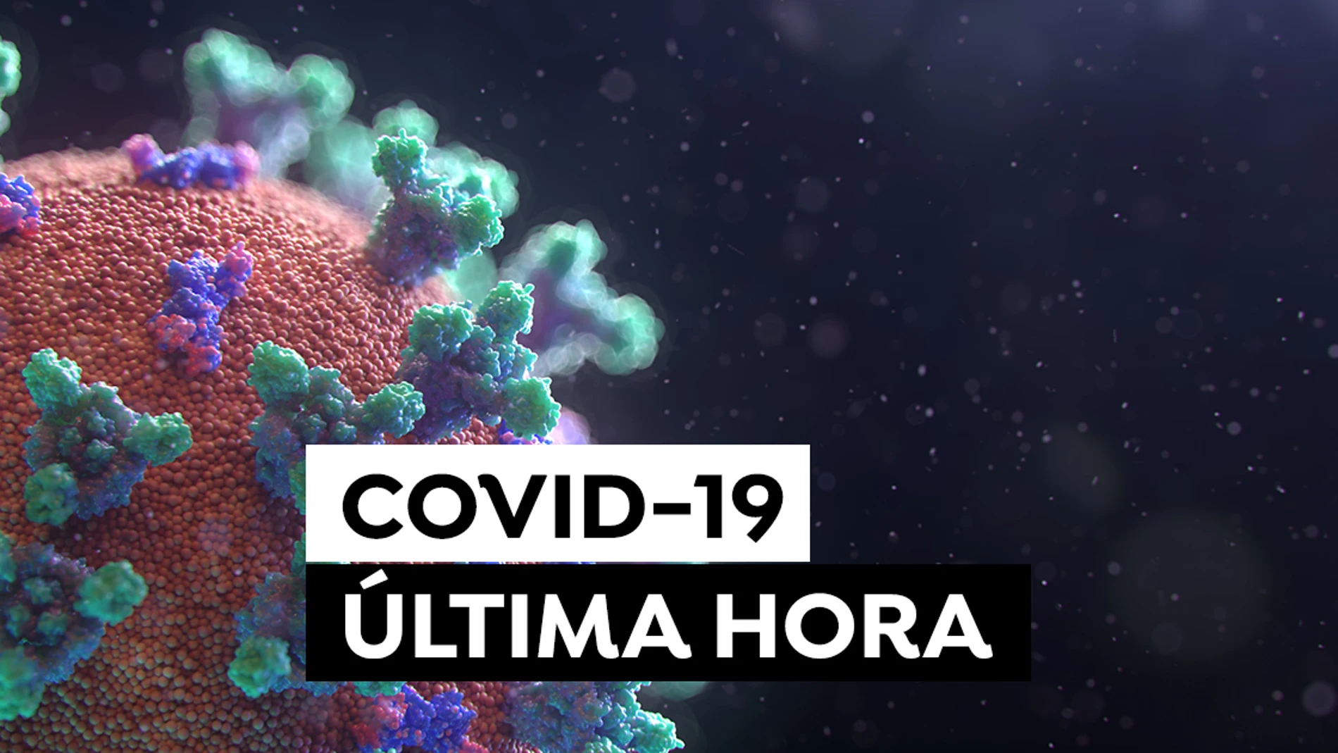 COVID-19: Última hora del coronavirus en España hoy COVID-19: Última hora del coronavirus en España hoy