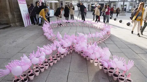Acto organizado ante el ayuntamiento de Lugo en 2018 con motivo de la celebración del Día Mundial Contra el Cáncer de Mama Acto organizado ante el ayuntamiento de Lugo en 2018 con motivo de la celebración del Día Mundial Contra el Cáncer de Mama
