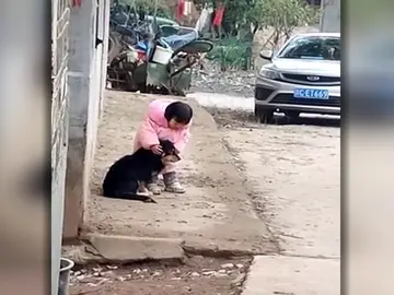 El enternecedor vídeo de una niña cubriendo las orejas de un perro asustado por los fuegos artificiales El enternecedor vídeo de una niña cubriendo las orejas de un perro asustado por los fuegos artificiales