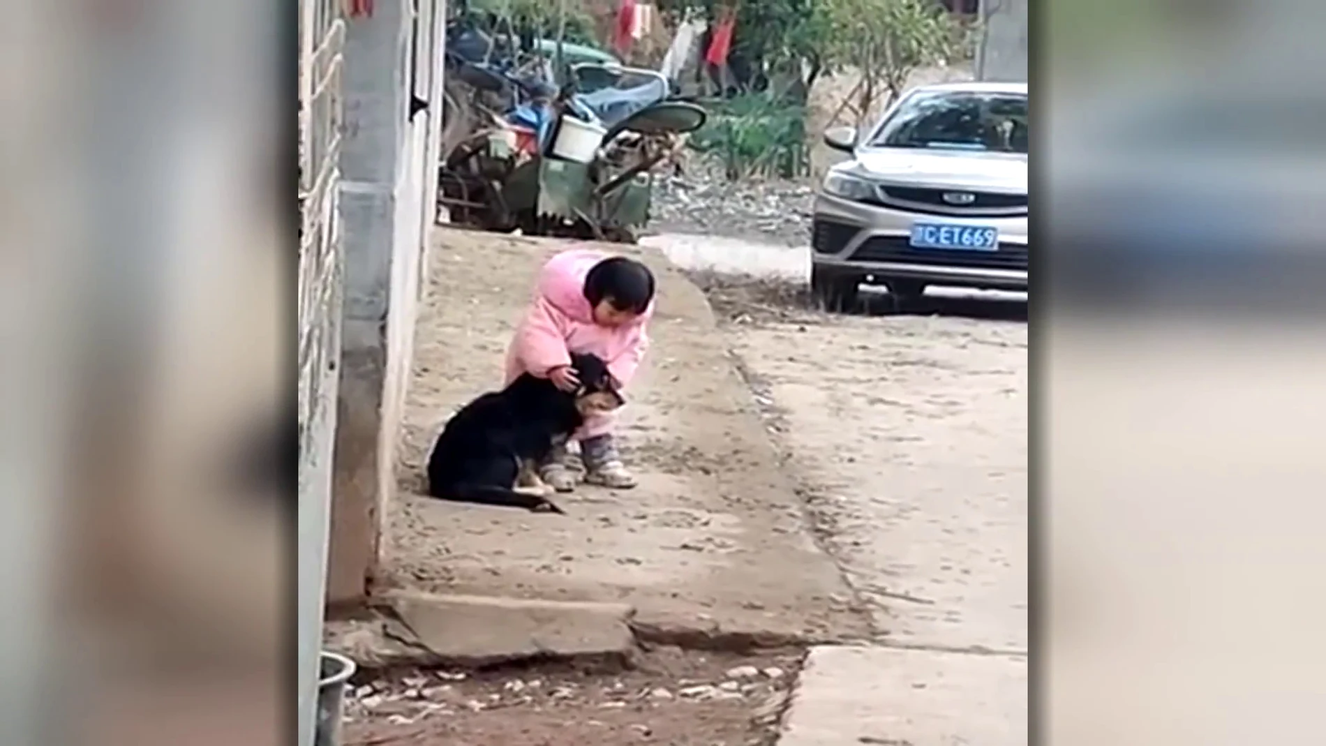 El enternecedor vídeo de una niña cubriendo las orejas de un perro asustado por los fuegos artificiales