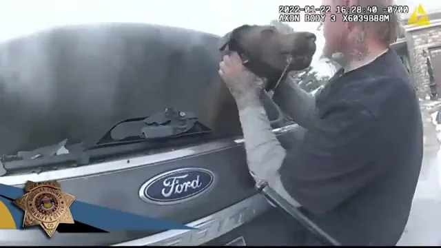El dramático rescate de un perro atrapado dentro de un vehículo en llamas El dramático rescate de un perro atrapado dentro de un vehículo en llamas