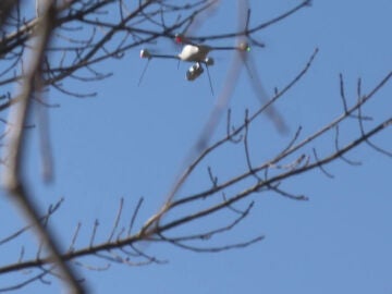 Analizan las imágenes de los drones para averiguar si alguien trasladó el cuerpo de Esther López