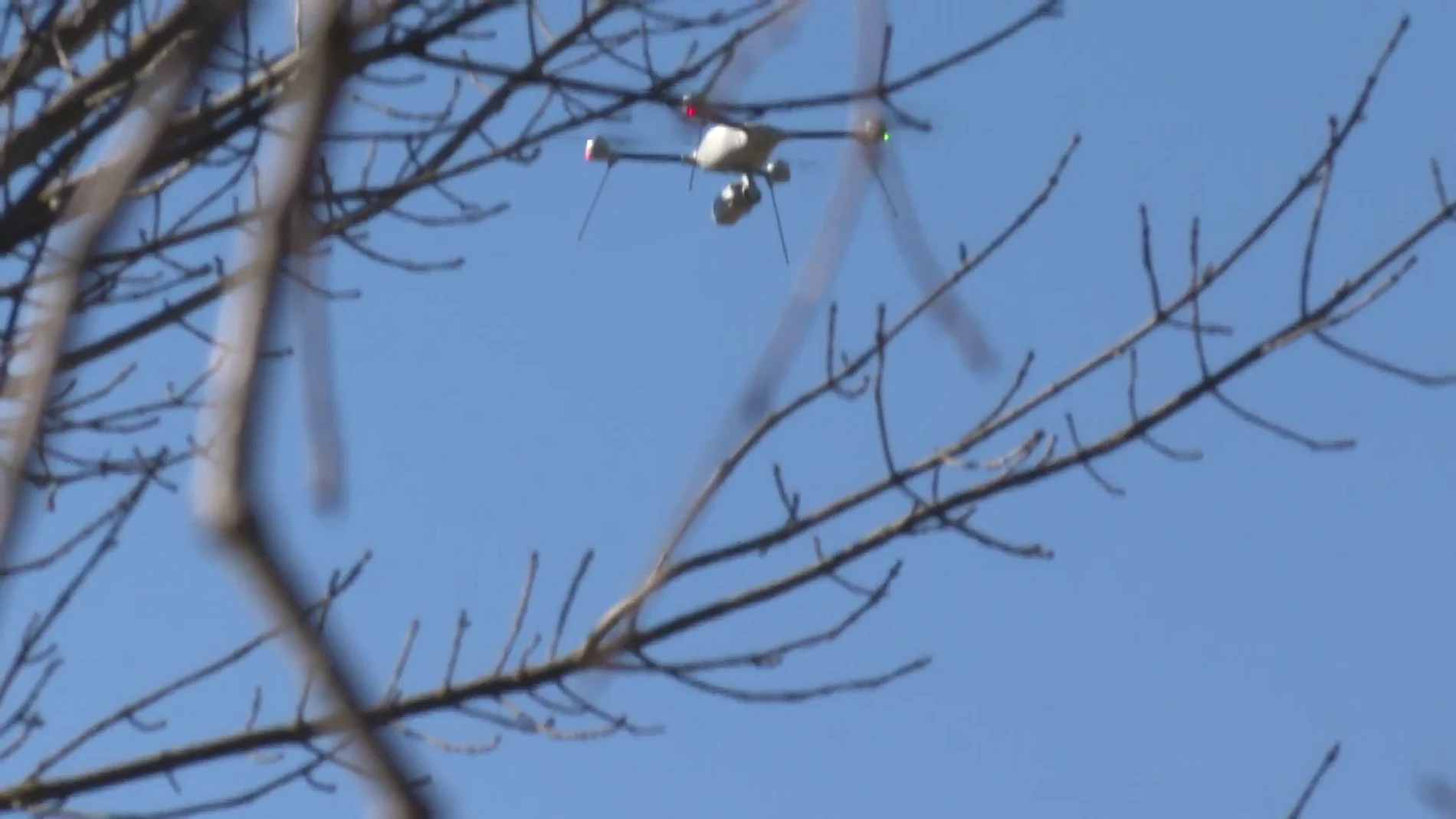 Analizan las imágenes de los drones para averiguar si alguien trasladó el cuerpo de Esther López