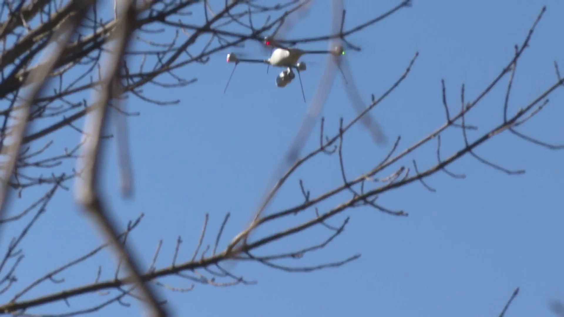 Analizan las imágenes de los drones para averiguar si alguien trasladó el cuerpo de Esther López Analizan las imágenes de los drones para averiguar si alguien trasladó el cuerpo de Esther López