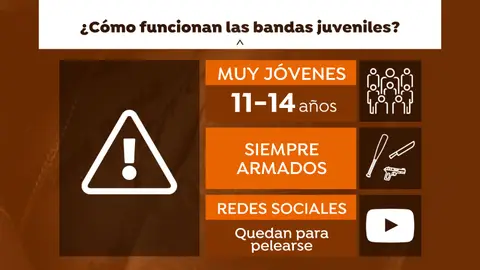 Principales datos de las bandas juveniles Principales datos de las bandas juveniles