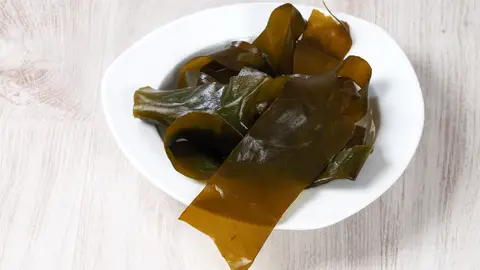 Alga kombu Alga kombu