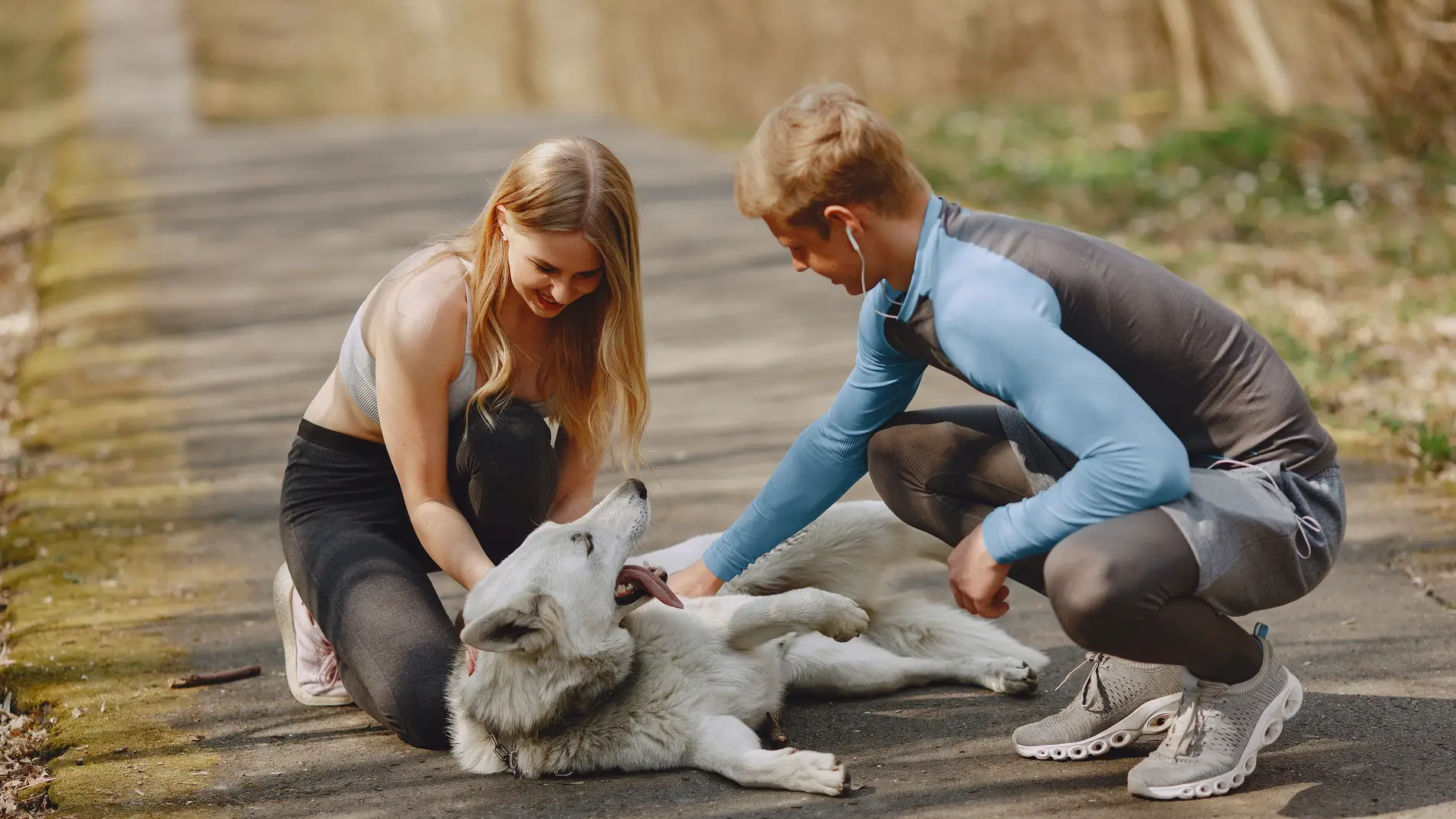 ¿Quién se queda el perro si una pareja se separa?