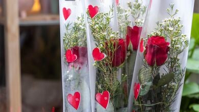 Los regalos más exóticos de los famosos por San Valentín