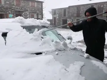 Nieve Nieve