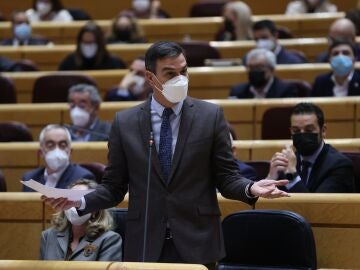 Pedro Sánchez en el Senado