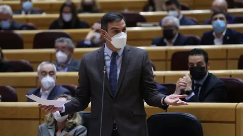 Pedro Sánchez en el Senado Pedro Sánchez en el Senado