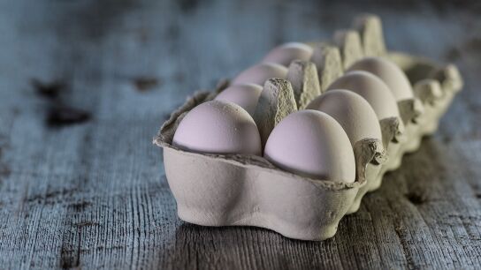 La Uni&oacute;n Europea investiga un brote de 272 casos de salmonelosis en seis pa&iacute;ses relacionado con huevos de origen espa&ntilde;ol
