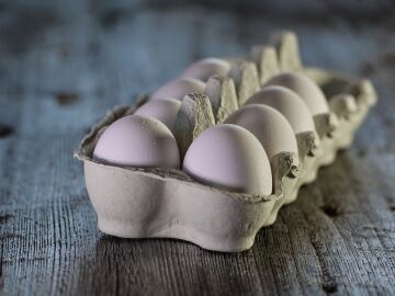 La Unión Europea investiga un brote de 272 casos de salmonelosis en seis países relacionado con huevos de origen español