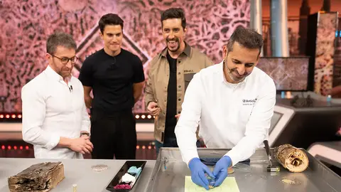 ¿Cómo actúan las termitas? Marron lo demuestra en directo en 'El Hormiguero 3.0' 'El Hormiguero 3.0'