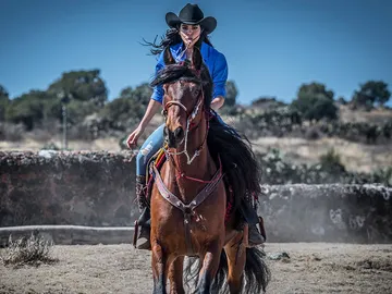 Livia Brito Livia Brito