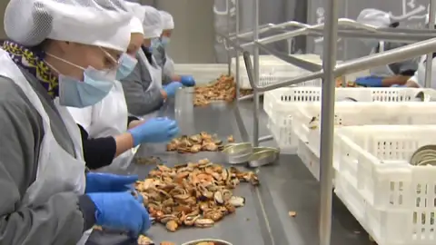 Profesión Profesión