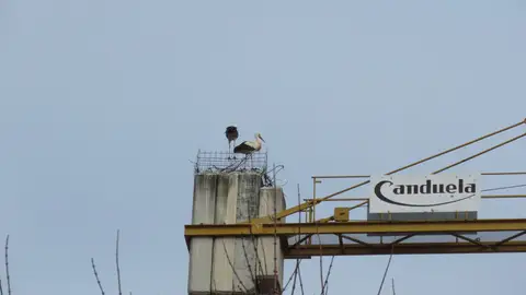 La cigüeña en la grúa La cigüeña en la grúa