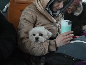 Una mujer huye de Ucrania con su mascota en brazos 