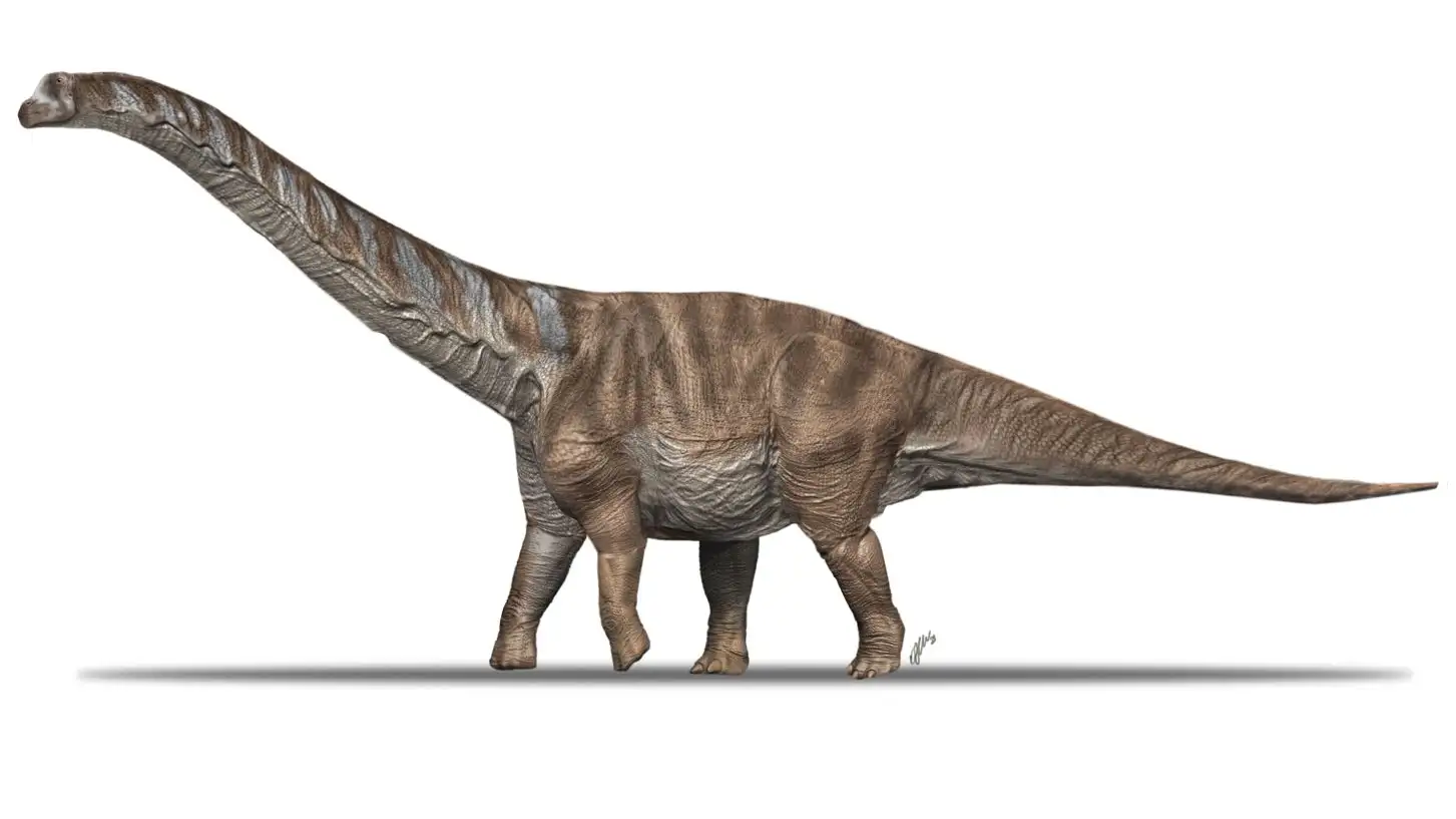 Nuevo dinosaurio Nuevo dinosaurio