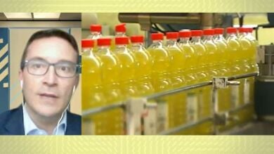 Las consecuencias de la falta de girasol por la guerra en Ucrania