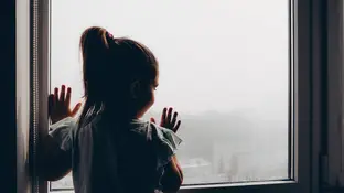 Niña Los ninos y ninas con mas exposicion a la contaminacion y menos a espacios verdes tienen mas riesgo de padecer TDAH