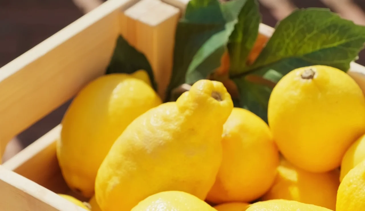 Cesta de limón europeo