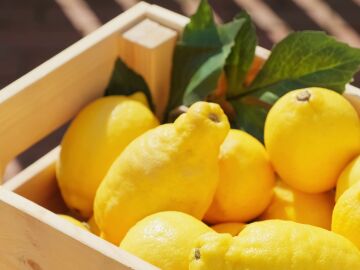Cesta de limón europeo