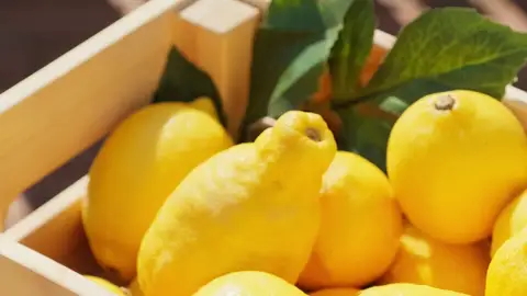 Cesta de limón europeo Cesta de limón europeo