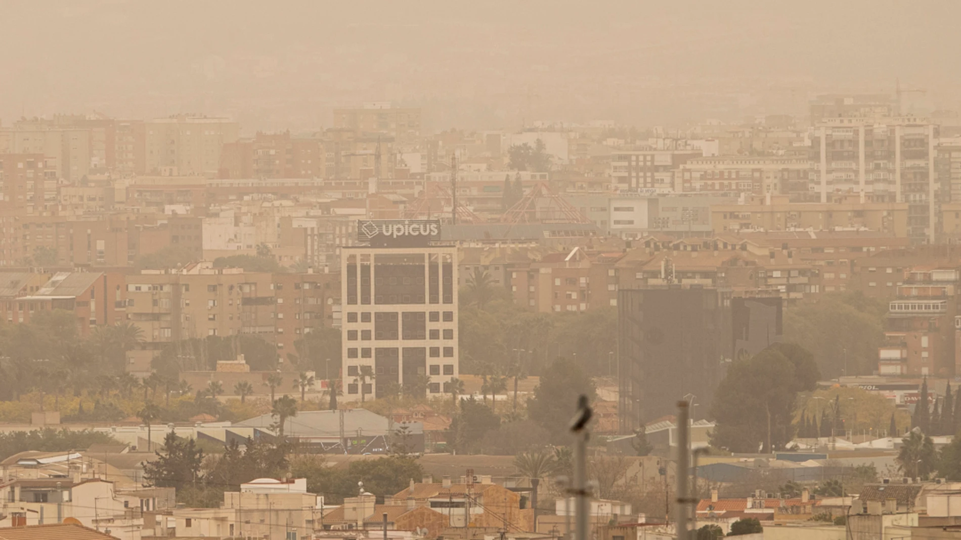 Vista de la ciudad de Murcia cubierta con una neblina de color rojo por el alto número de partículas y polvo en suspensión este martes