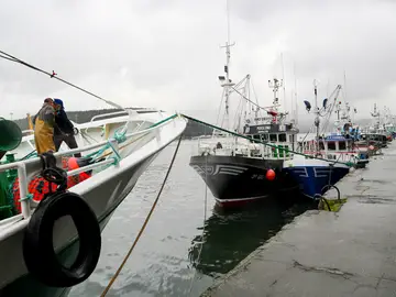 Pesqueros este miércoles en el puerto asturiano de Avilés