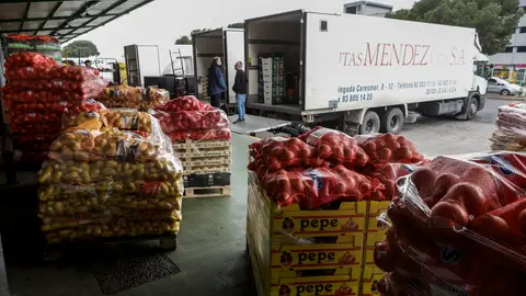 Frutas y hortalizas en Mercabarna Frutas y hortalizas en Mercabarna