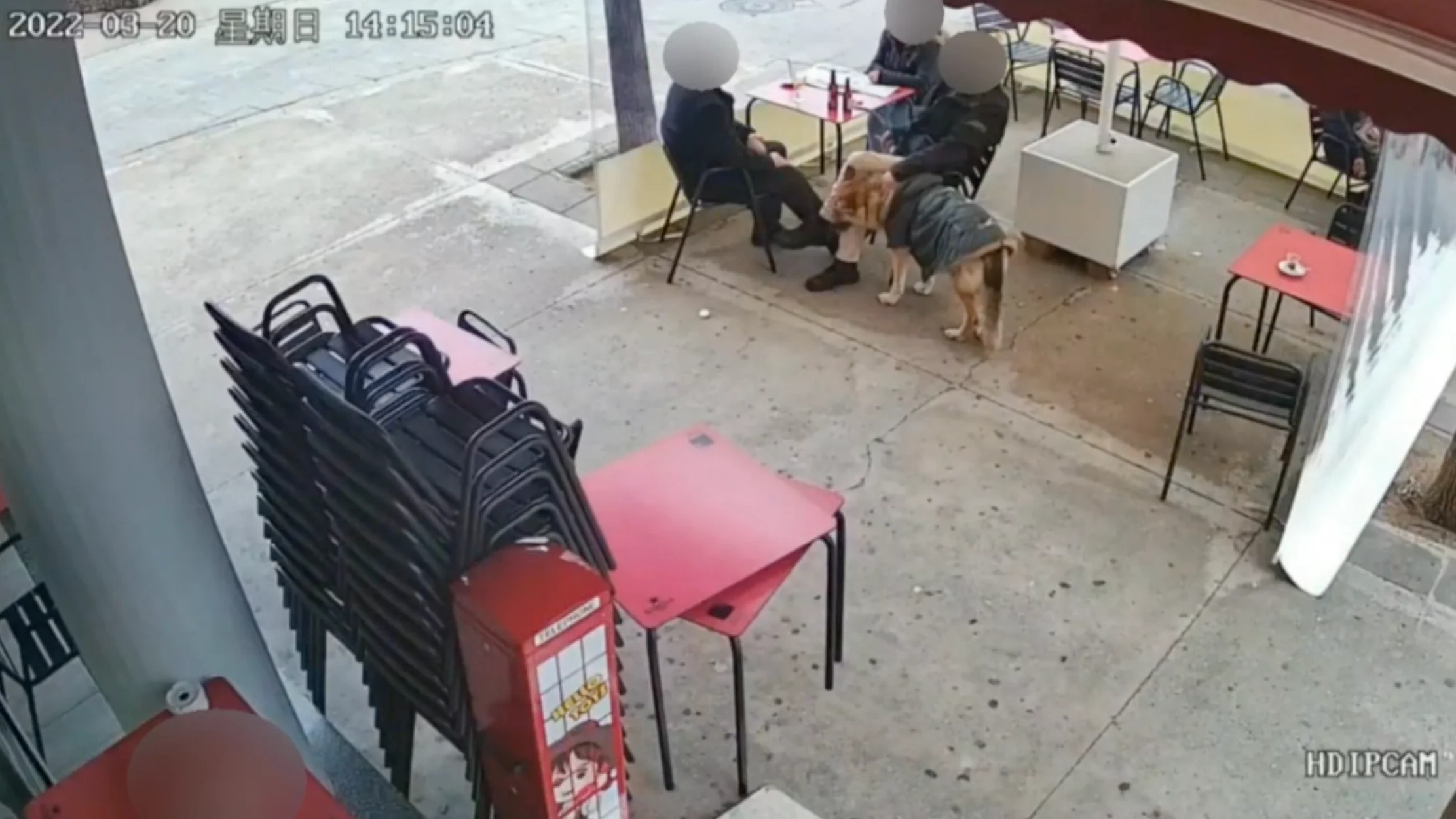 VÍDEO: Un vehículo atropella a varias personas en una terraza de Sabadell, Barcelona VÍDEO: Un vehículo atropella a varias personas en una terraza de Sabadell, Barcelona