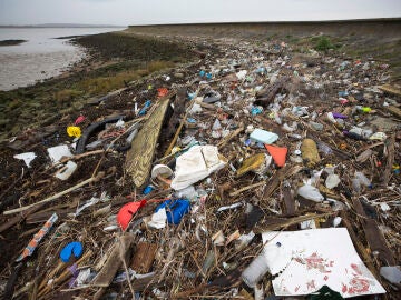Plásticos que acaban como microplásticos ingeridos por animales a las orillas del río Támesis