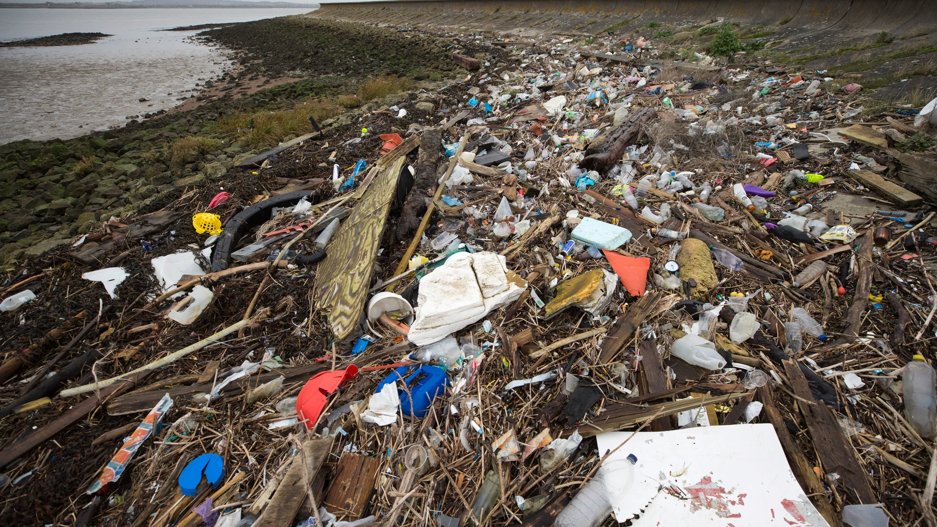 Plásticos que acaban como microplásticos ingeridos por animales a las orillas del río Támesis
